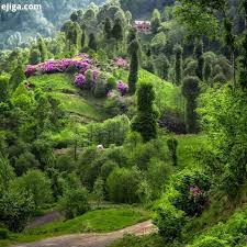 اقتباسی بهار گیلان